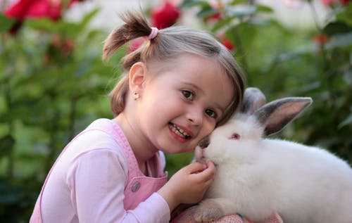 女孩代表温柔的名字属兔,万芳婷名字测试免费