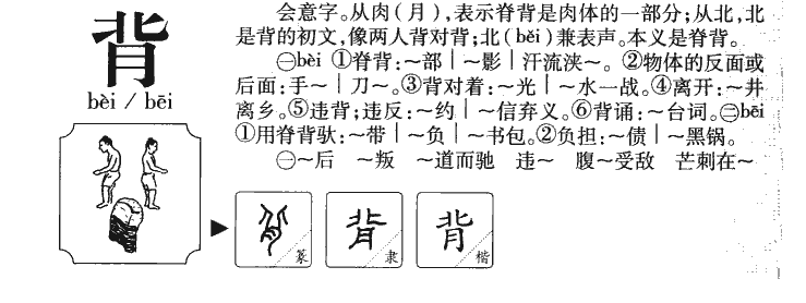 背字五行属什么-背字起名的寓意-背字意思