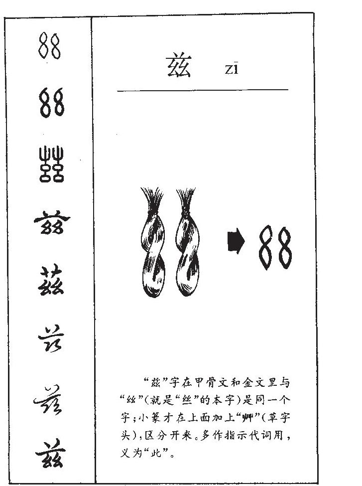 兹字五行属什么-兹字起名的寓意-兹字意思