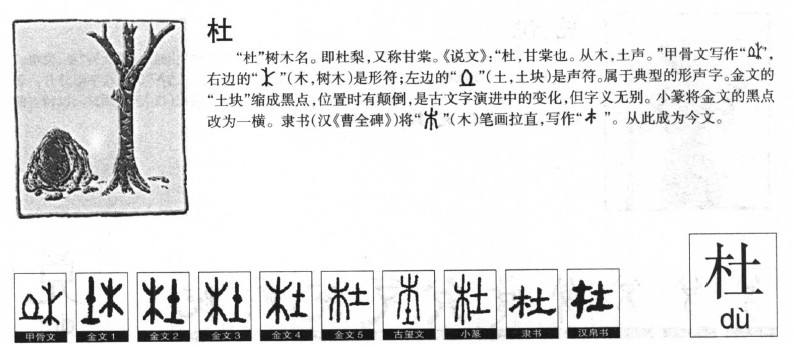 杜字五行属什么-杜字起名的寓意-杜字意思