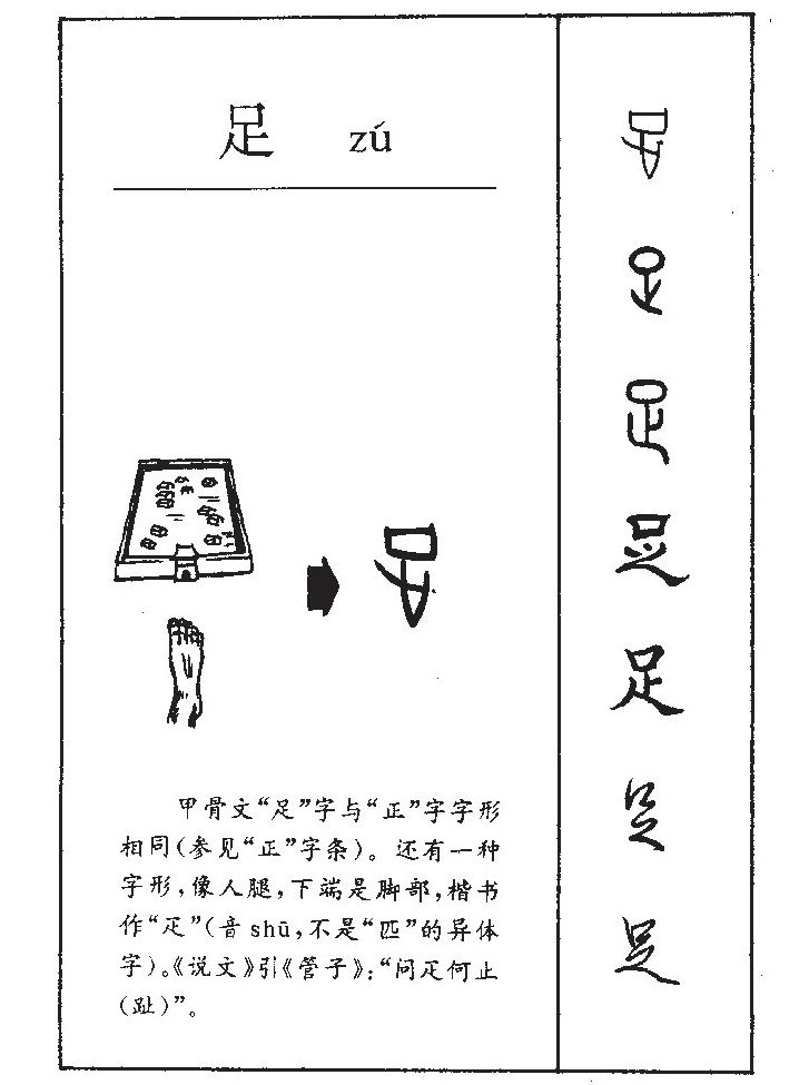 足字五行属什么-足字起名的寓意-足字意思