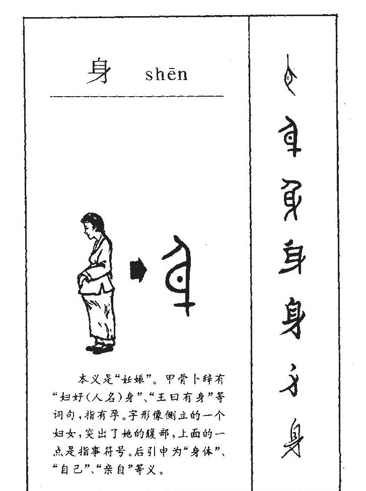 身字五行属什么-身字起名的寓意-身字意思