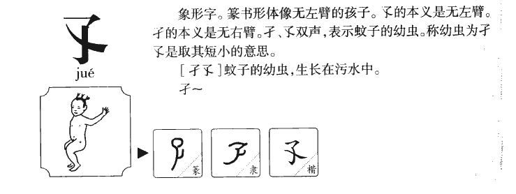 孓字五行属什么-孓字起名的寓意-孓字意思