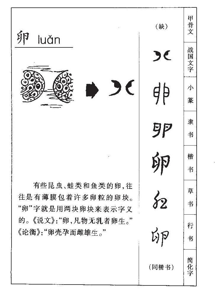 卵字五行属什么-卵字起名的寓意-卵字意思