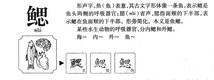 鳃字五行属什么-鳃字起名的寓意-鳃字意思