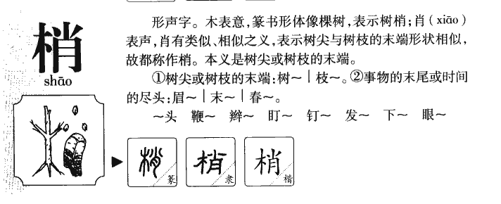 梢字五行属什么-梢字起名的寓意-梢字意思