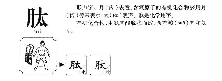 肽字五行属什么-肽字起名的寓意-肽字意思