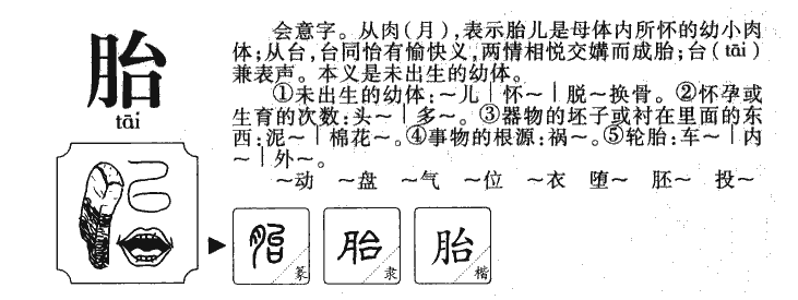 胎字五行属什么-胎字起名的寓意-胎字意思