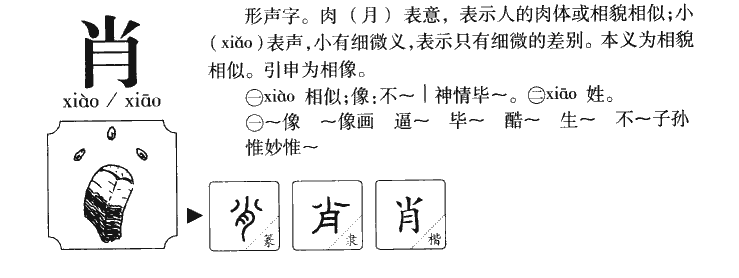 肖字五行属什么-肖字起名的寓意-肖字意思