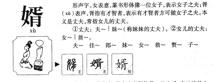 婿字五行属什么-婿字起名的寓意-婿字意思