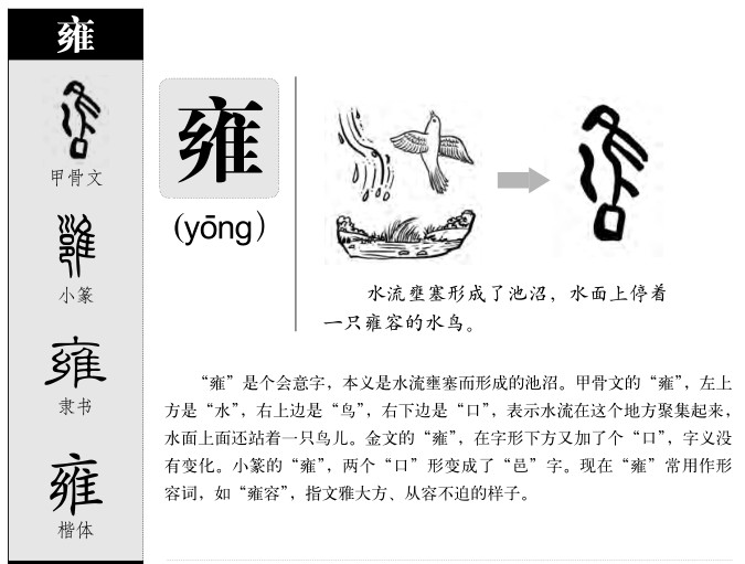 雍字五行属什么-雍字起名的寓意-雍字意思