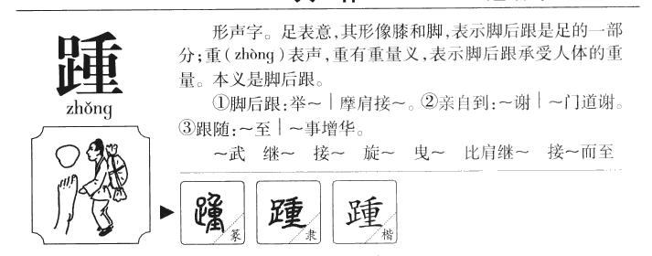 踵字五行属什么-踵字起名的寓意-踵字意思